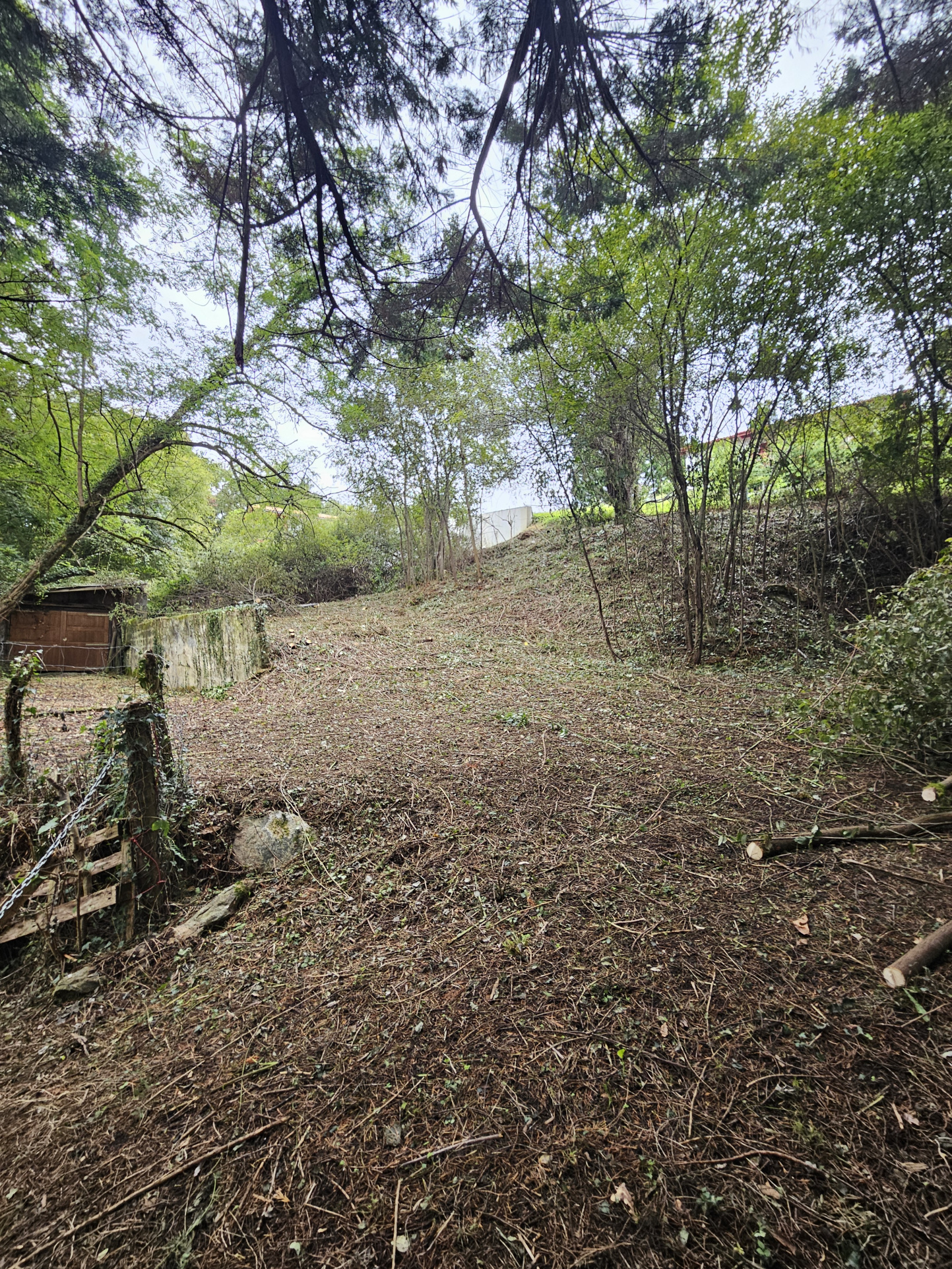 TERRAIN commerces à pied